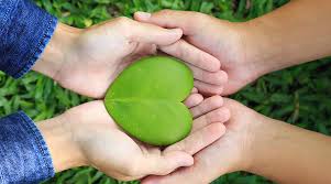 全球企业如何应对2024年SBTi目标的要求 全球企业如何应对2024年SBTi目标的要求