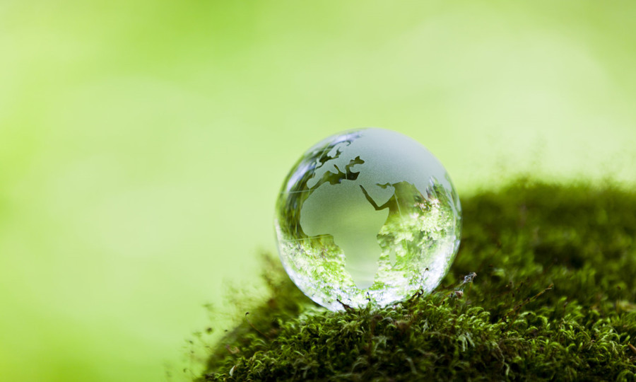 2024年CDP问卷中不同主题的报告要求 2024年CDP问卷中不同主题的报告要求