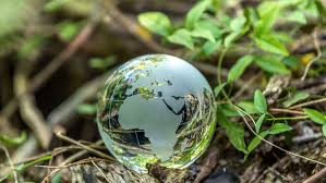 深入解读2024年CDP问卷中的生物多样性问题 深入解读2024年CDP问卷中的生物多样性问题