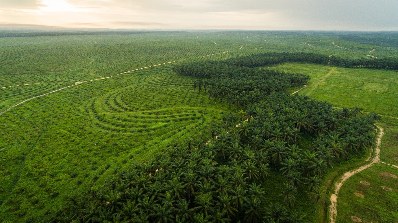 PSCI倡议的核心价值是什么? PSCI倡议的核心价值是什么?