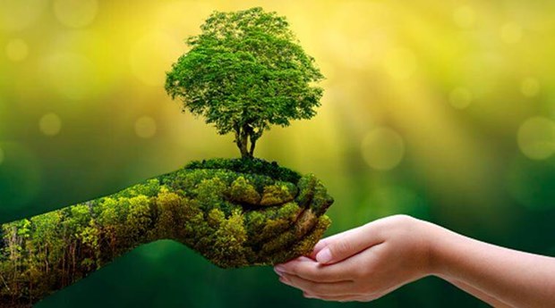 SBTi对企业内部碳定价机制的建议 SBTi对企业内部碳定价机制的建议